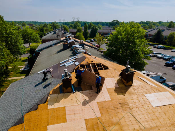 Trusted Storm Damage Roof Repair service in Winston, OR - Brentwood Metal Roofing